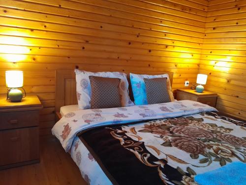 1 Schlafzimmer mit einem Bett mit Holzwänden und 2 Lampen in der Unterkunft ECO ViLLAGE CORIC in Mojkovac