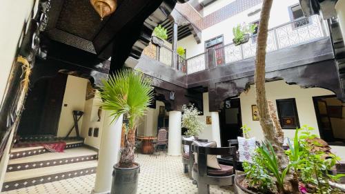 a room with chairs and potted plants at Dar Najat in Marrakech