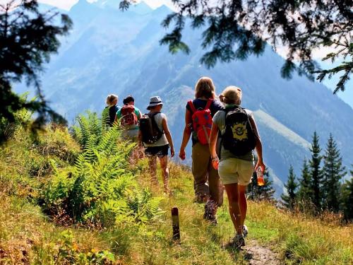 a group of people walking on a mountain trail at Apartment in Katschberg near Ski Slopes in Sankt Margarethen im Lungau