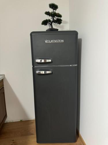 a black refrigerator with a bonsai tree on top of it at Souterrainwohnung Offenburg in Offenburg