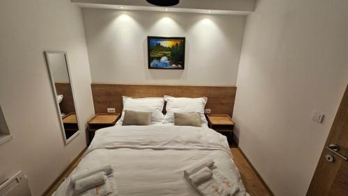 Postel nebo postele na pokoji v ubytování Vila Jahor - Apartman Sofija 9