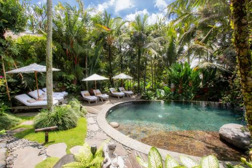 una piscina en un jardín con sillas y sombrillas en Stone House en Ubud