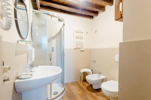 y baño con lavabo, ducha y aseo. en Antico Casale Caroli en Gattatico