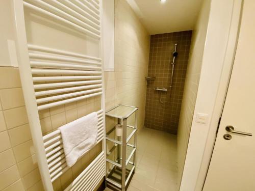 a bathroom with a shower and a towel rack at Residenz/Sommerwind in Warnemünde
