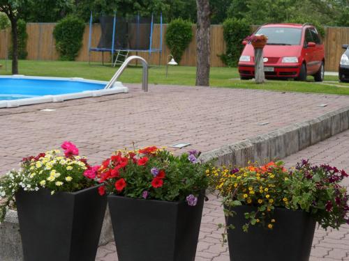 two black containers filled with flowers next to a swimming pool at Apartmány Lea in Liptovský Mikuláš