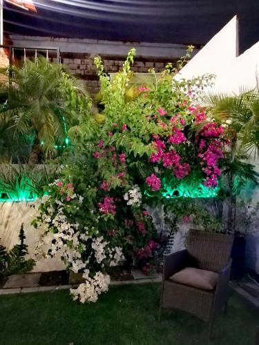 a garden with pink and white flowers and a chair at Airport Traveler's home. in Alajuela City