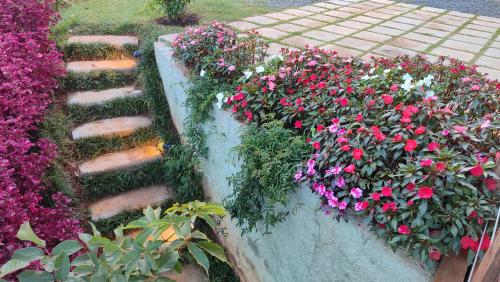 a flower garden with pink and purple flowers at Chalé Valle dos sonhos in Gonçalves