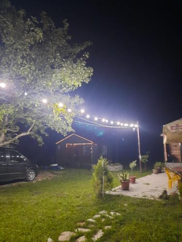 a yard at night with a string of lights at Family Hotel Maia - Cемейная гостиница Майя in Dashbashi
