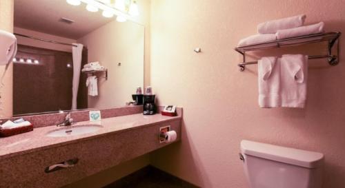 Koupelna v ubytování Mountain Inn & Suites Airport - Hendersonville
