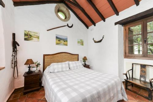 een slaapkamer met een bed en een spiegel aan de muur bij Apartamento Cortijo Rural Las Aves in Jimena de la Frontera