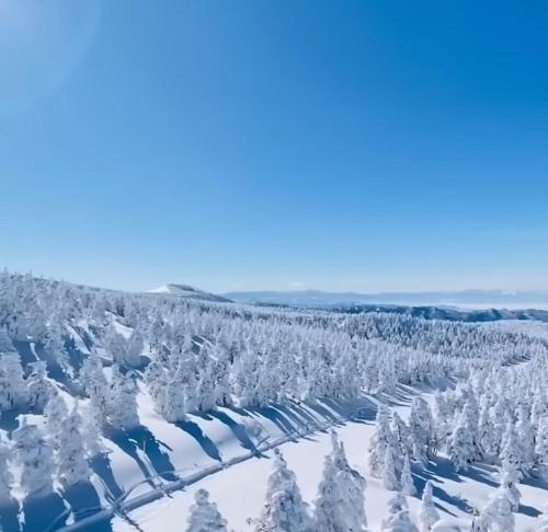 an aerial view of a snow covered forest at Ferienwohnung Wiesenblick in Seiffen in Kurort Seiffen