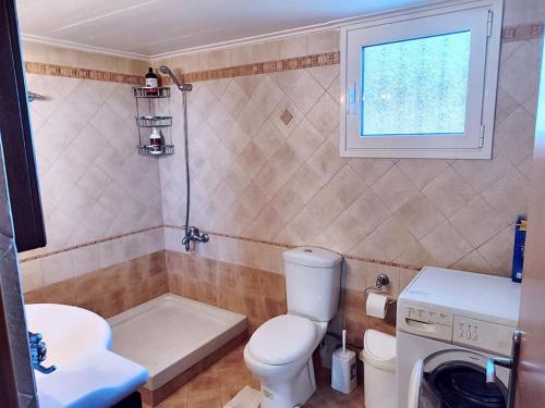 uma pequena casa de banho com WC e lavatório em VILLA EFTYXIA - Mendenitsa em Mendhenítsa