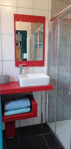 une salle de bain avec un lavabo, un miroir et une douche dans l'établissement gite neuf, à Laluque