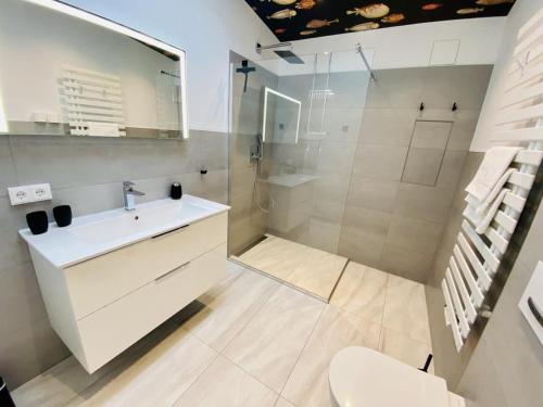 La salle de bains est pourvue d'un lavabo, d'une douche et de toilettes. dans l'établissement Ich will ans Meer, à Warnemünde