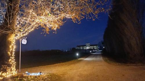 a tree with christmas lights on a street at night at Agriturismo Casalbergo in Isola della Scala