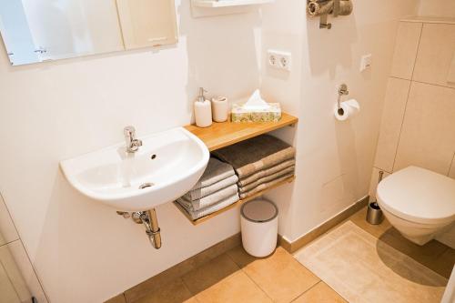 uma casa de banho com um lavatório e um WC em Appartement Rehlein em Mauterndorf