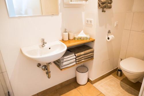 a bathroom with a sink and a toilet at Appartement Rehlein in Mauterndorf
