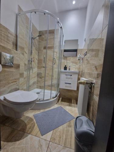 een badkamer met een douche, een toilet en een wastafel bij Willa Lawenda Apartament 2 in Rytro