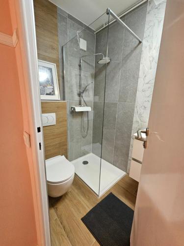 een badkamer met toilet en glazen douche bij ABA2 in Zagreb
