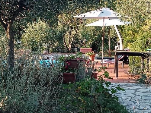 villa con piscina "il collicello" – Photos 3