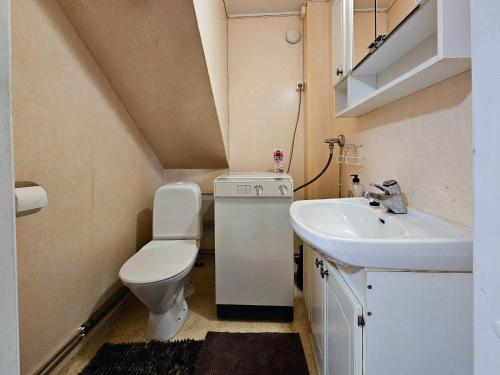 a small bathroom with a toilet and a sink at Mäki-mummola in Ylitornio