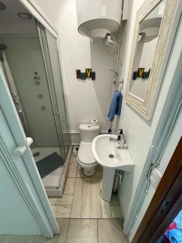 a bathroom with a shower and a toilet and a sink at Apartamento/Estudio en Las Condes in Santiago