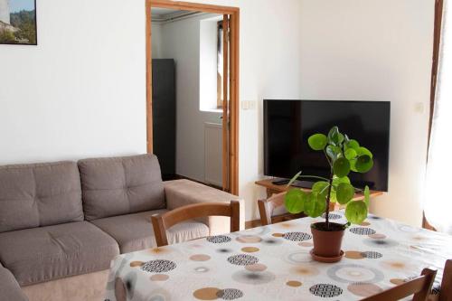 - un salon avec une table et une plante en pot dans l'établissement L'Oustal de Champouriès, classé 3*, à Chanac