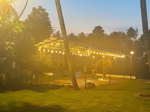 Una pérgola con luces en un parque por la noche en Tierra Villas Campsite -Udupi, en Padubidri