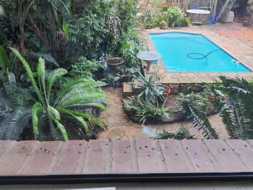 a small swimming pool in a garden with plants at The Crooked Forest in Pretoria