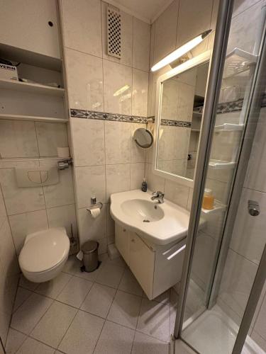 a bathroom with a toilet and a sink at Strandhotel 27 in Dahme