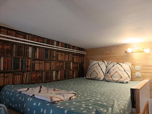 a bedroom with a bed with a bunch of books at Studio à la Gare&centre de Grenoble in Grenoble