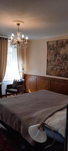 a bedroom with a large bed and a chandelier at Altstadtapartment Rochusstraße in Mainz