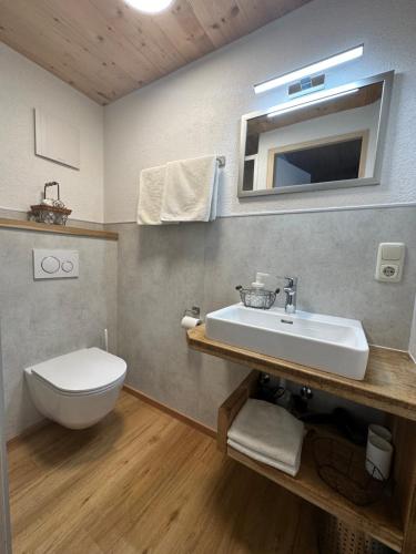 ein Badezimmer mit einem Waschbecken, einem WC und einem Spiegel in der Unterkunft Haus Walch in Elbigenalp
