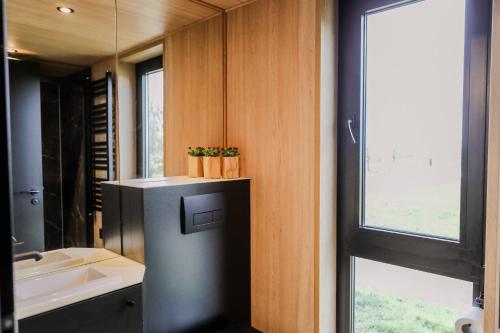 a bathroom with a toilet and a sink and a window at Luxe Tiny House op minicamping in Waarde in Waarde
