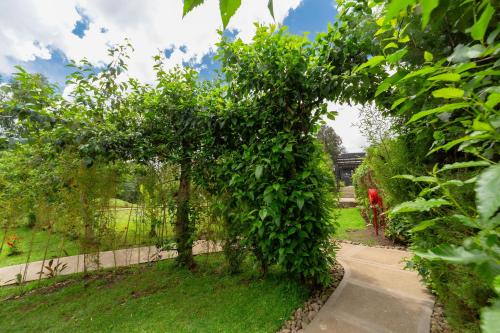 Taman di luar Amarembo by Touch Down