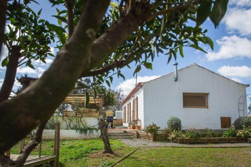 a white house with a fence and a tree at Costa Vicentina Villa with Garden Pool and View in Ermidas