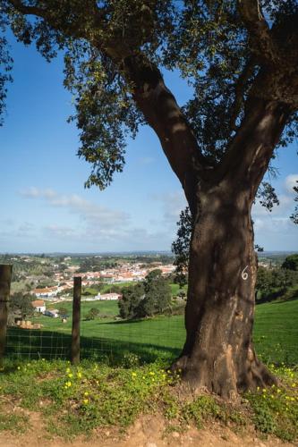 a tree in a field next to a fence at Costa Vicentina Villa with Garden Pool and View in Ermidas