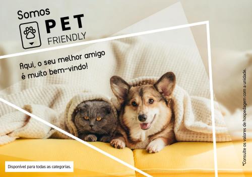 a poster of two dogs and a cat on a couch at Slim São Paulo Congonhas by Slaviero Hotéis in São Paulo