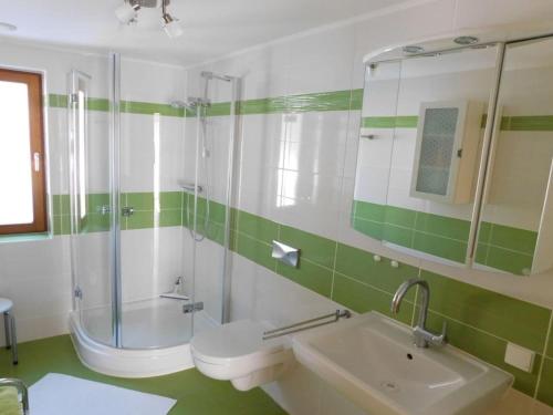 y baño con aseo, lavabo y ducha. en Holiday apartment at the rose garden, en Hinteregg