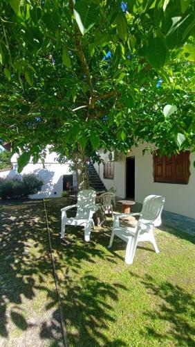 two white chairs sitting under a tree in a yard at Las Grullas in Villa Gesell