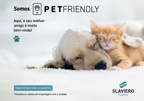 un perro y un gato acostados uno al lado del otro en Slaviero Londrina Flat, en Londrina