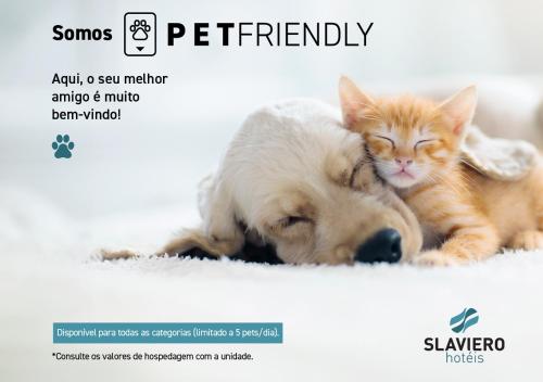 un perro y un gato están acostados uno al lado del otro en Slaviero Ponta Grossa en Ponta Grossa