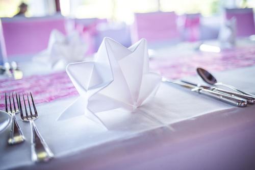 Gallery image of Hotel Schloss Romanshorn in Romanshorn