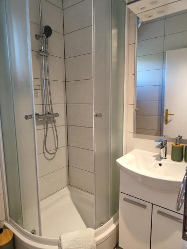 a bathroom with a shower and a sink at Apartmani Seka in Vodice