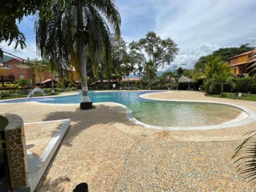 a swimming pool with a palm tree in the middle at Querido Palmar in Santa Fe de Antioquia