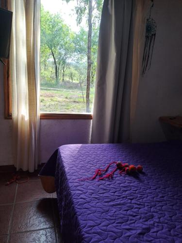 CABAÑAS LOS ESPINILLOS – Photos 3