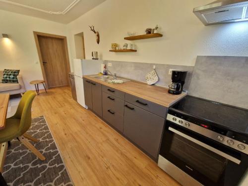 Kuchyň nebo kuchyňský kout v ubytování Appartement Woidrauschen