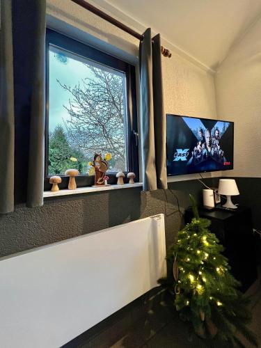 a living room with a christmas tree and a window at Maison 25 in Houffalize