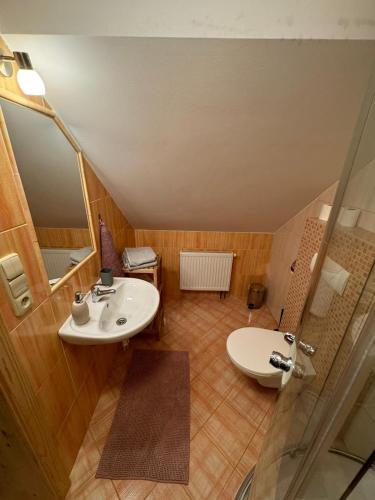 a bathroom with a sink and a toilet at Apartmány Roudnice in Jestrabi V Krkonosich