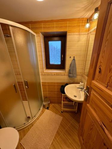 a bathroom with a shower and a sink at Apartmány Roudnice in Jestrabi V Krkonosich